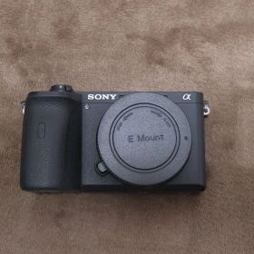 SONY α6600 ミラーレス一眼 本体 バッテリー