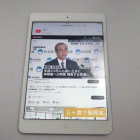 Apple iPad mini MD531J/A ROM:16GB 動作中古