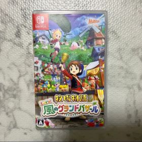 牧場物語 Let's風のグランドバザール NintendoSwitchソフト美品