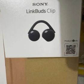 ソニー(SONY) WF-LC900 BZ