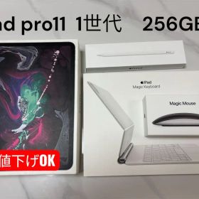iPad Pro11 wi-fi 256㎇ セット