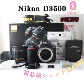 ショット数43枚 新品級 Nikon D3500 高画質 Bluetooth 箱