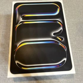 iPad Pro 11インチ M4 256GB