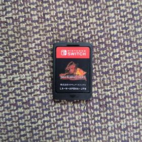 サガスカーレットグレイス 緋色の野望 ニンテンドースイッチ ソフト