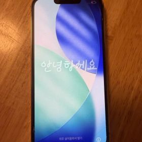 iPhone13pro 256GB