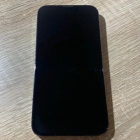 1305 iPhone 13 Pro 256GB グラファイト 【ネ】