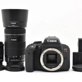 【返品保証】★極上品★キヤノン Canon EOS Kiss X9i ダブルズームキット 《ショット数:19110枚》★ L581#7659