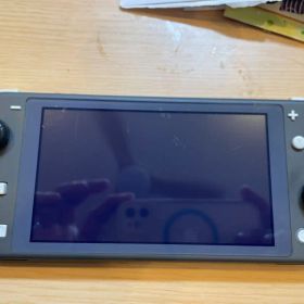 Nintendo Switch Lite 本体 グレー