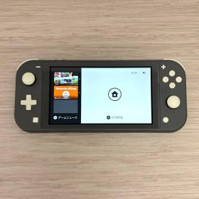 動作確認済⭐️ Nintendo Switch Lite 本体 グレー