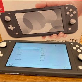 Nintendo Switch Lite 本体 グレー ★本体ケースカバー付き★