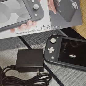 Nintendo Switch Liteグレー 箱 ACアダプタ SDカード付き