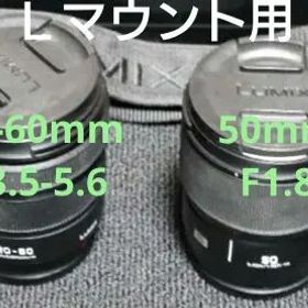 Panasonic LUMIX S5IIx ダブルレンズキット 付属レンズ