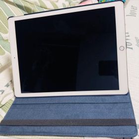 ipad pro 12.9 256gbゴルド