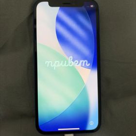 Apple iPhone 12mini 本体 ブルー