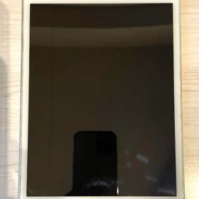 iPad mini4 16GB Wi-Fi+Cellular