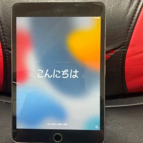 Apple iPad mini4 64G wifi