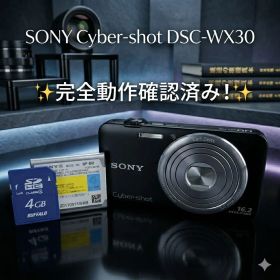 ✨️SONY Cyber-shot DSC-WX30✨️完全動作確認済み！