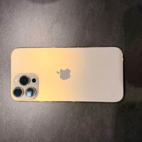 Apple iPhone 13Pro max本体 ジャンク品