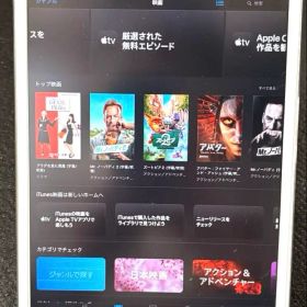 【美品】iPad mini 初代 16GB Wi-Fi 動作品 電子書籍向