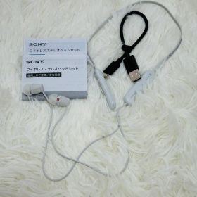 SONY ワイヤレスステレオヘッドセット WI-C200 本体