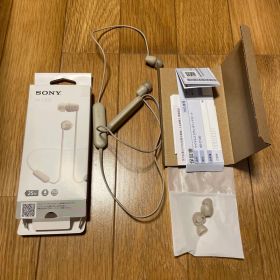 WI-C100 ベージュ