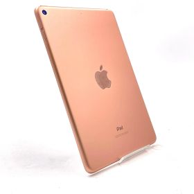 iPad mini 2019 (第5世代) 新品 10,516円 中古 9,000円 | ネット最安値