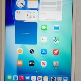 ☆美品☆iPad mini5 256GB バッテリー97% カドスレ有り