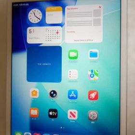 ☆美品☆iPad mini5 256GB バッテリー95% Aランク
