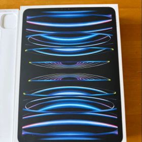11インチApple iPad Pro 第4世代256GB セルラーSIMフリー