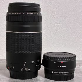⭐️美品⭐️Canon EF 75-300 III & EF-EOS M アダプター
