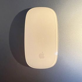 Apple Magic Mouse 2 (Lightning ケーブル)