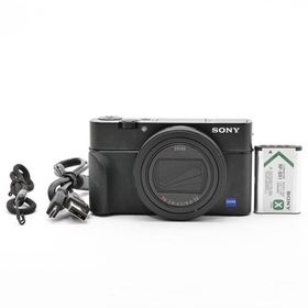 ＜美品＞ソニー SONY DSC-RX100M6 Cyber-shot