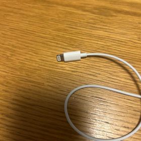 Apple EarPods with Lightning Connector