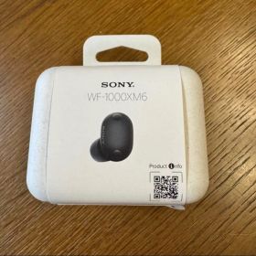 極美品 SONY WF-1000XM6 ワイヤレスイヤホン
