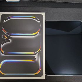 iPad Pro 11インチ M4 シルバー 256GB Wifiモデル