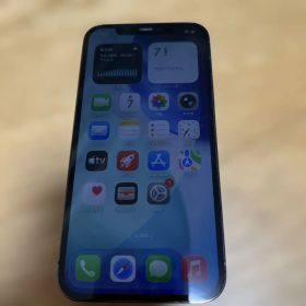 Apple iPhone 12 Pro 256本体 SIMフリーおまけつき