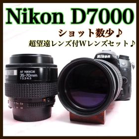 ✨ボディ美品✨Nikon D7000 ダブルレンズ ショット数少 高画質