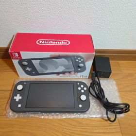 動作OK Nintendo Switch Lite 付属品完品 グレー