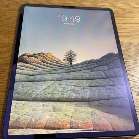 Apple iPad Pro 12.9 第4世代 スペースグレイ