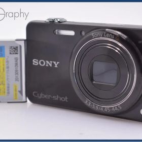 【動作保証】 ソニー SONY Cyber-shot DSC-WX200 10x バッテリー付属 同梱無料 #am6824