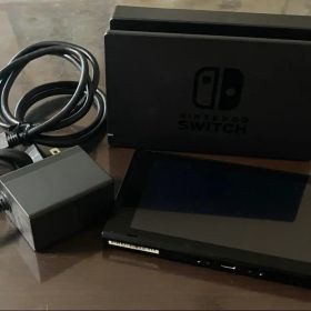 Nintendo Switch 本体 ドッグ