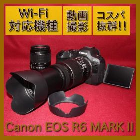 ❤️予備電池付き❤️Canon EOS R6 MARK II ダブルズーム