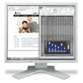【ポイント10倍】 EIZO 液晶モニタ・液晶ディスプレイ FlexScan S1934-HGY [19インチ セレーングレイ] 【P10倍】
