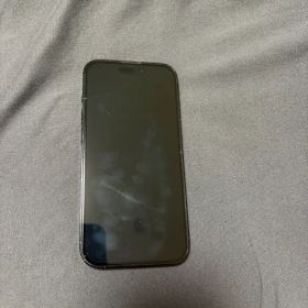 Apple iPhone 14 Pro 本体