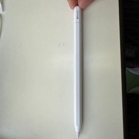Apple Pencil（USB-C） 新品 2,870円 中古 4,200円 | ネット最安値の