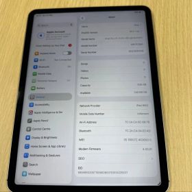 iPad Pro 11インチ 第4世代 M2 256GB