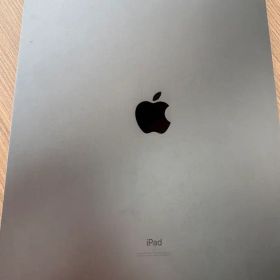 Apple iPad Pro 第4世代 1TB 箱付き
