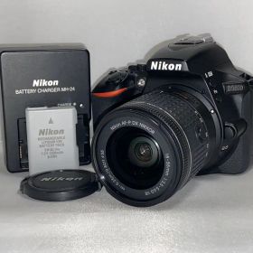 【美品】Nikon D5600 18-55mm VR レンズキット