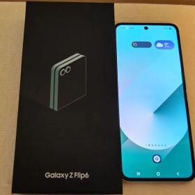 Samsung Galaxy Z Flip6 256GB Mint 本体