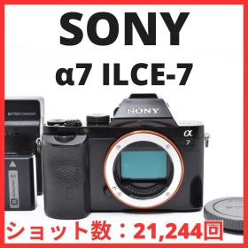 F06[7909]41 ソニー SONY α7 ボディ ILCE-7 【ショット数 21，244回】